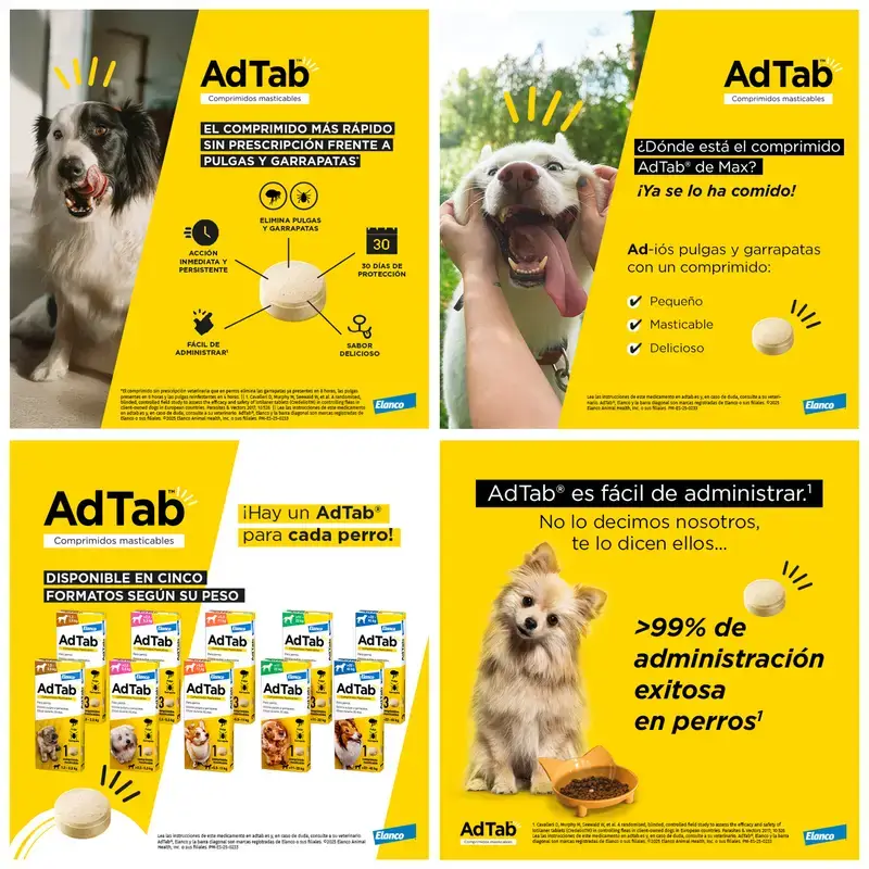 Adtab 225Mg Comprimidos Masticables Perros 5,5-11Kg, 2 Comprimidos - Image 9