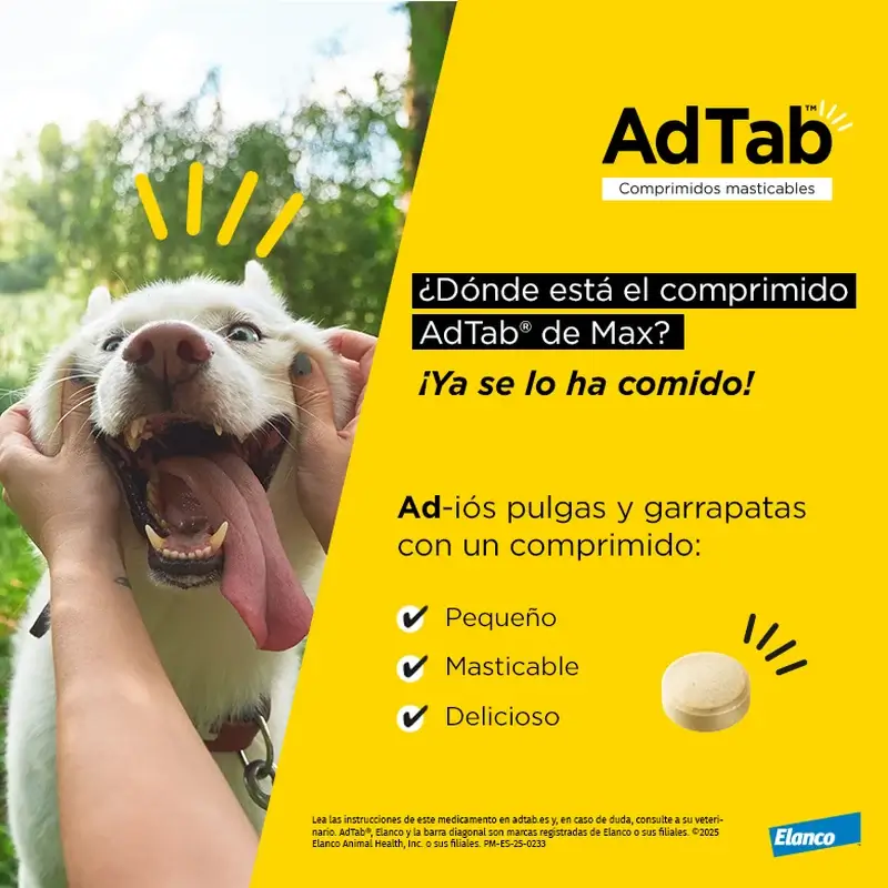 Adtab 450Mg Comprimidos Masticables Perros 11-22Kg, 2 Comprimidos - Image 5