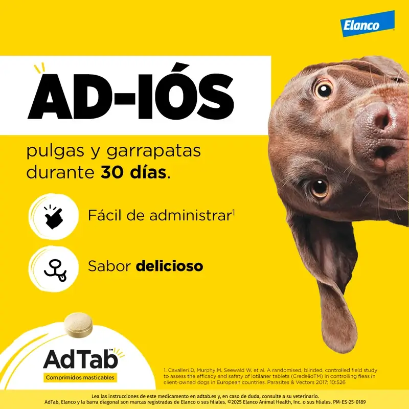 Adtab 450Mg Comprimidos Masticables Perros 11-22Kg, 2 Comprimidos - Image 7