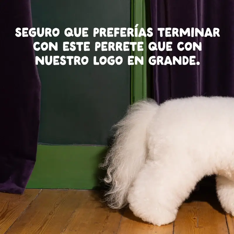 Edgard & Cooper Pienso Para Perros Adultos Medianos Con Pollo Fresco , 1 kg - Image 13