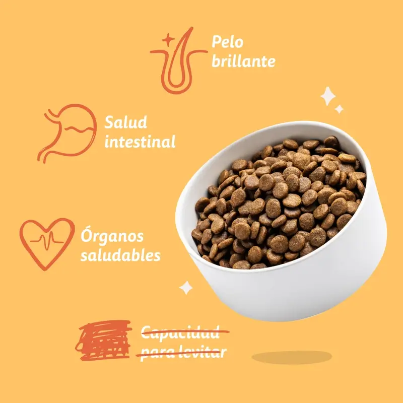 Edgard & Cooper Pienso Para Perros Adultos Medianos Con Pollo Fresco , 1 kg - Image 8