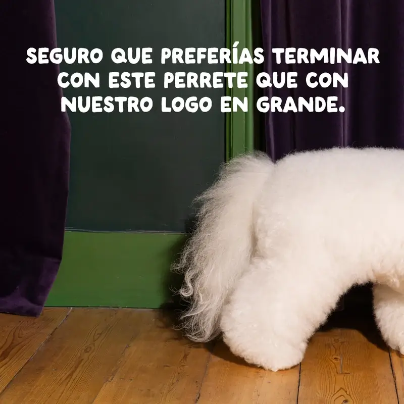 Edgard & Cooper Pienso Para Perros Adultos Medianos Con Venado Y Pato Frescos , 7 kg - Image 13