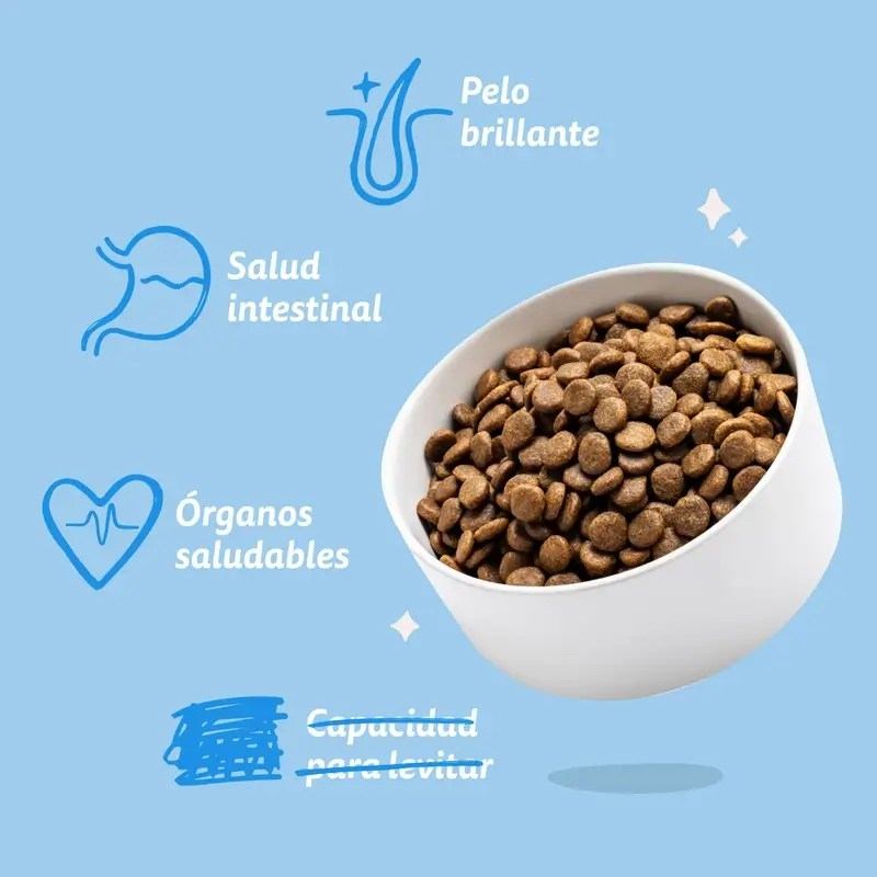 Edgard & Cooper Pienso Para Perros Adultos Mini Con Salmón Fresco , 3 kg - Image 7